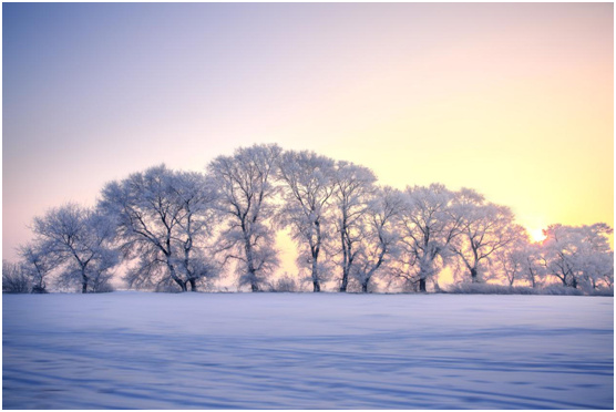 華動速熱熱水器 溫暖整個冬季