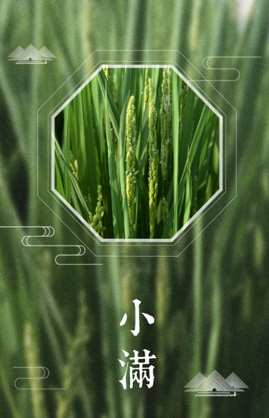 華動(dòng)電器|24節(jié)氣生活，人生最喜歡的狀態(tài)：小滿(mǎn)即圓滿(mǎn)！