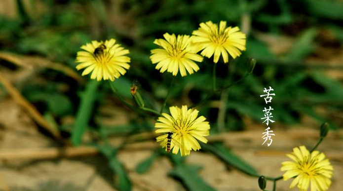 華動(dòng)電器|24節(jié)氣生活，人生最喜歡的狀態(tài)：小滿(mǎn)即圓滿(mǎn)！