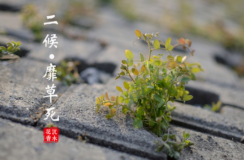 華動(dòng)電器|24節(jié)氣生活，人生最喜歡的狀態(tài)：小滿(mǎn)即圓滿(mǎn)！