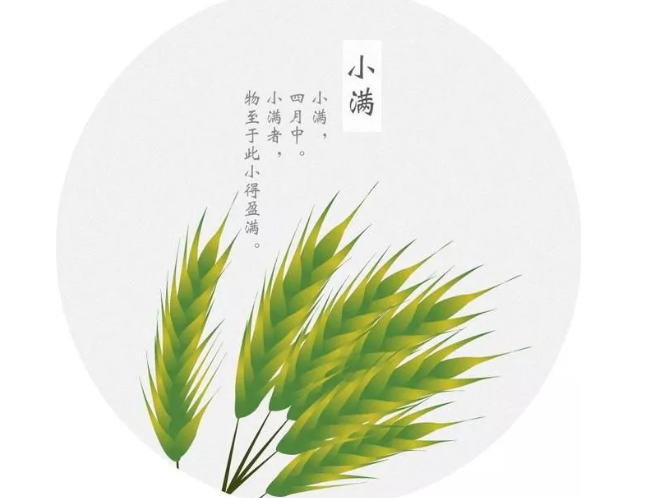 華動(dòng)電器|24節(jié)氣生活，人生最喜歡的狀態(tài)：小滿(mǎn)即圓滿(mǎn)！